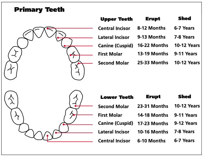 trồng răng số 7 hàm dưới bao nhiêu tiền